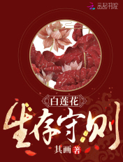 祥仔视觉更新四区