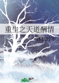 宸汐缘电视剧全集免费