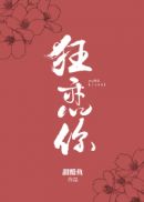 济州岛性感之夜