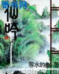 姐夫的荣耀全集