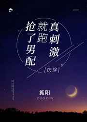 豺狼虎狈第二部
