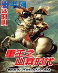 安装成年人专用播放器