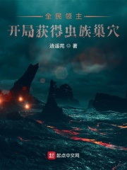 这是我穿越到这个世界的十二年小说