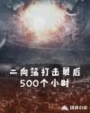 公平的报复