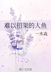 年年岁岁柿柿红拍摄地