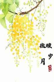 空井仓上视频全集