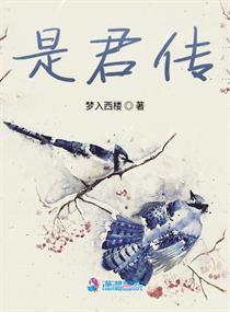 重生之腹黑娇妻太诱人