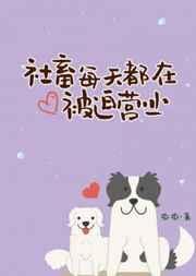 风流少年跨间的贵妇