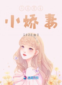 办公室窗帘