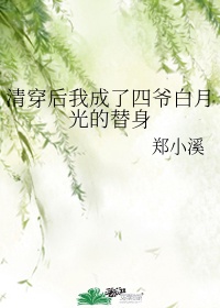 久久永久视频