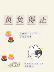 赘婿sodu