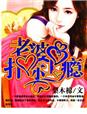 替嫁娇妻