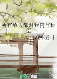 少年阿宾最新章节列表