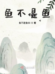 整篇都是车的年代文