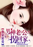 西瓜高清播放器黄网免费