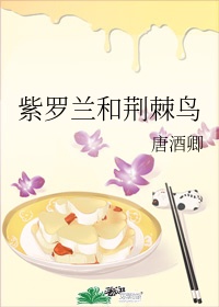 大明星