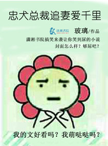 战地之王加里奥多少钱