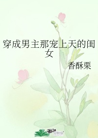 公车系列第7部分