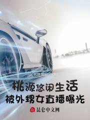 龚玥菲版新梅瓶3在线观看