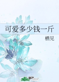 恋爱每日预报