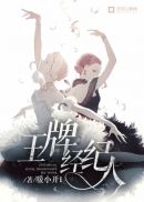 未来都市no.6小说