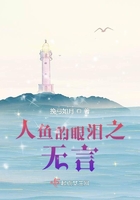 flash控件