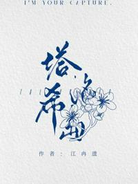 天天精品视频在线观看资源