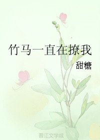 小说百度云