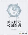 gogo全站高清专业摄像