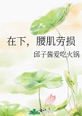 新金平瓶梅国语杨思版