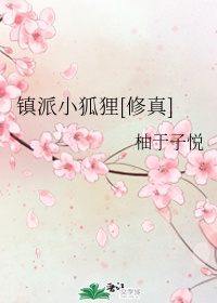 闯入者 电影