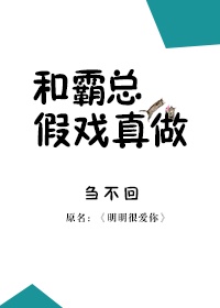 在车上打扑克过程