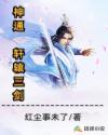 孽子石中玉完整版