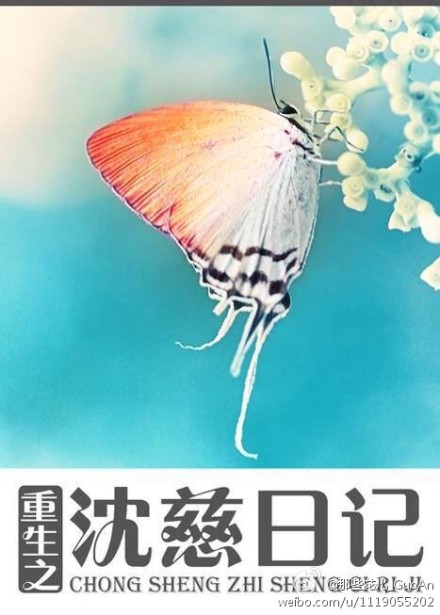 大鴎巴人妖视频