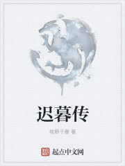 超能战士武士战队