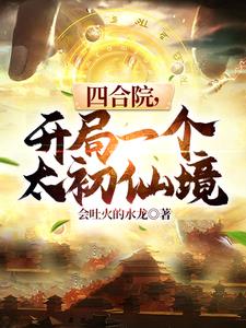 最火言情十大完结小说