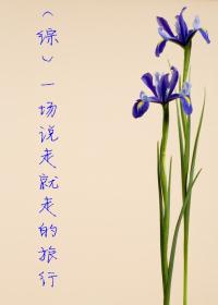 冰山总裁
