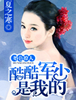 大侦探霍桑在线观看