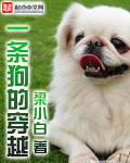 双色球摇奖器