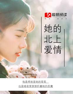vivo主题永久破解