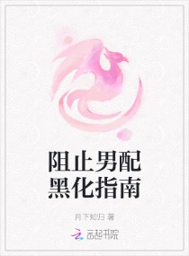 法国k8四级经典