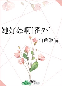 秒播tv视频在线观看