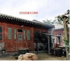 狗奴玩法 贱狗羞辱大全