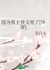 女教师的一级毛片