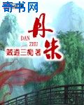 小黄文肉文