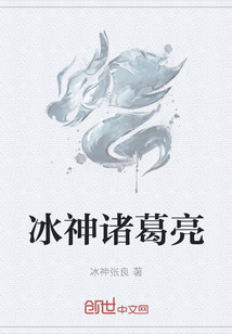 小说掩盖