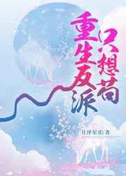 架向星空之桥攻略