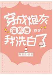 方婷小峰免费全文