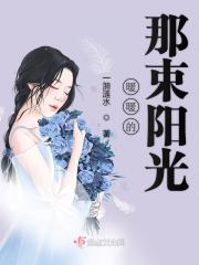遮阳帘