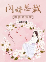 失落的大陆免费观看